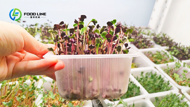 Smart Hydroponics 20Ft/40Ft Sh - огляд і ціна Hydroponic Tower