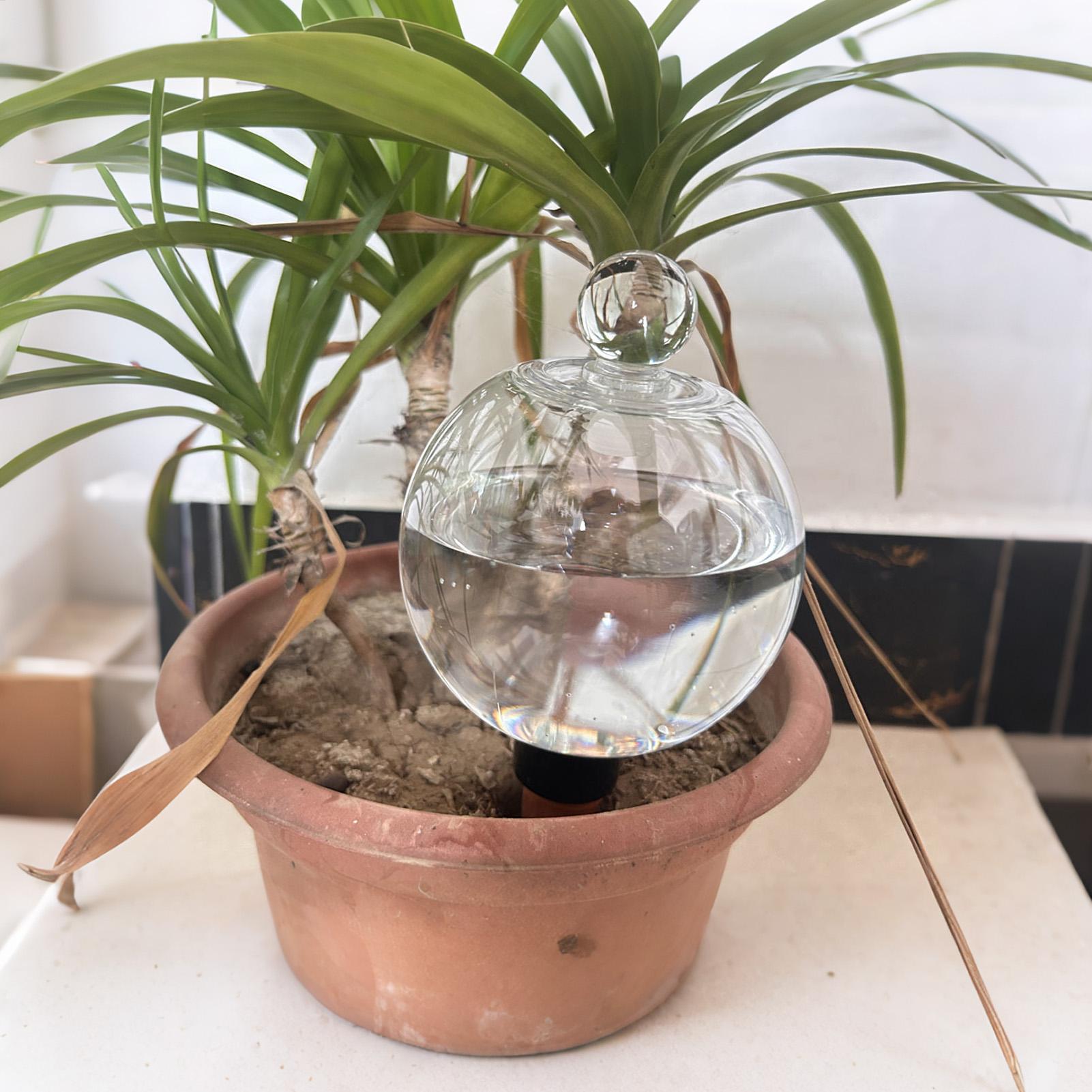 Plant Watering Bulbs 4pcs 500m - огляд і ціна Plant Sensor