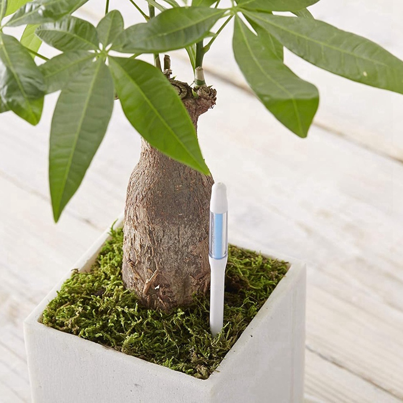 Aquameter, 5pcs, Plant Soil Mo - огляд і ціна Plant Sensor