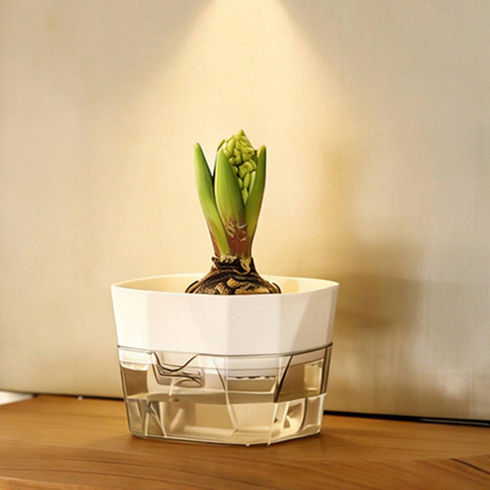 Hydroponic Vase Two Layer Self - огляд і ціна Self Watering Planter