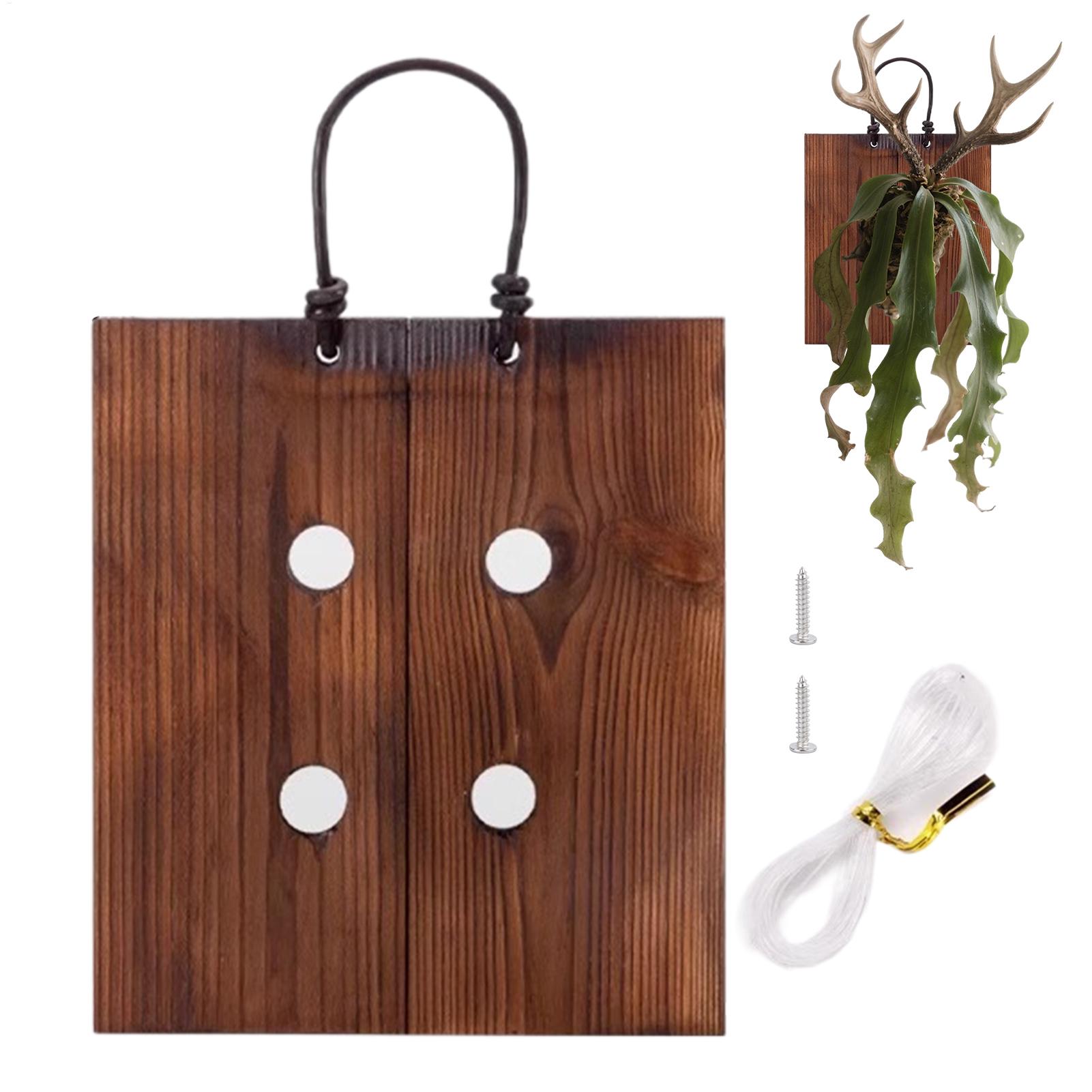 Staghorn Fern Wall Mount Board - огляд і ціна Indoor Garden Kit