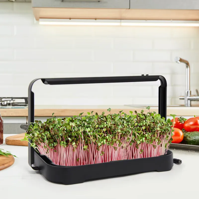 Hydroponic Tray Indoor Microgr - огляд і ціна Indoor Garden Kit